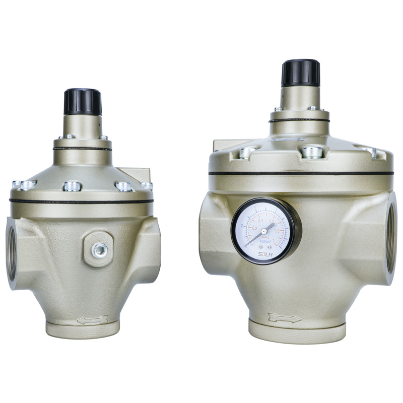 AR pilotstyrt regulator