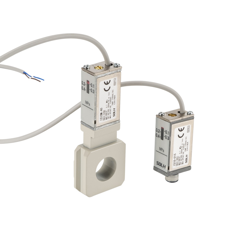 IS10 Series Reed Tube Mekanisk trykkbryter