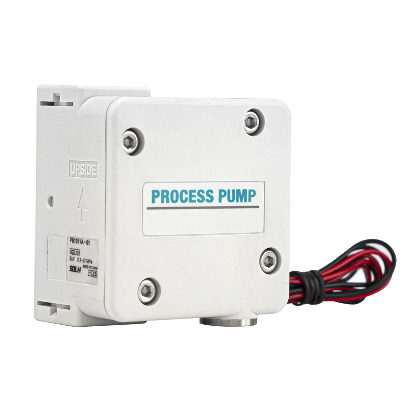 PB1011 Prosesspumpe